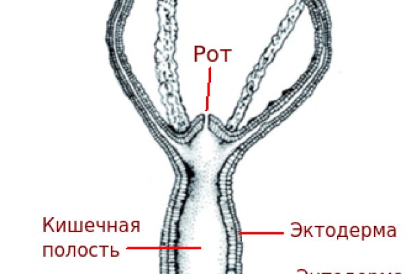 Адрес сайта даркнет